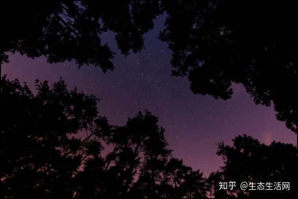生态生活真有怕黑的人黑夜恐惧症了解一下