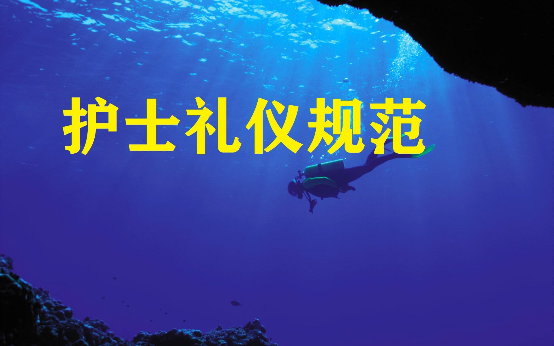 王子的礼仪请认真看完