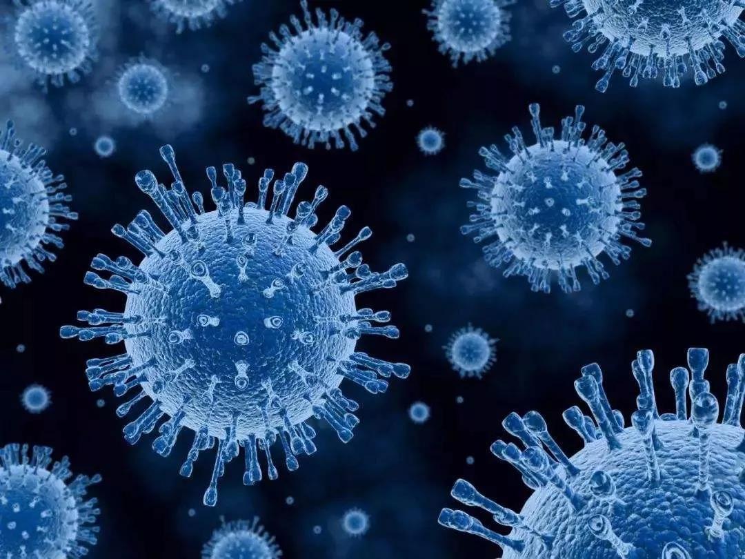 病毒感染人体的过程和免疫系统的应对方式 - 知乎