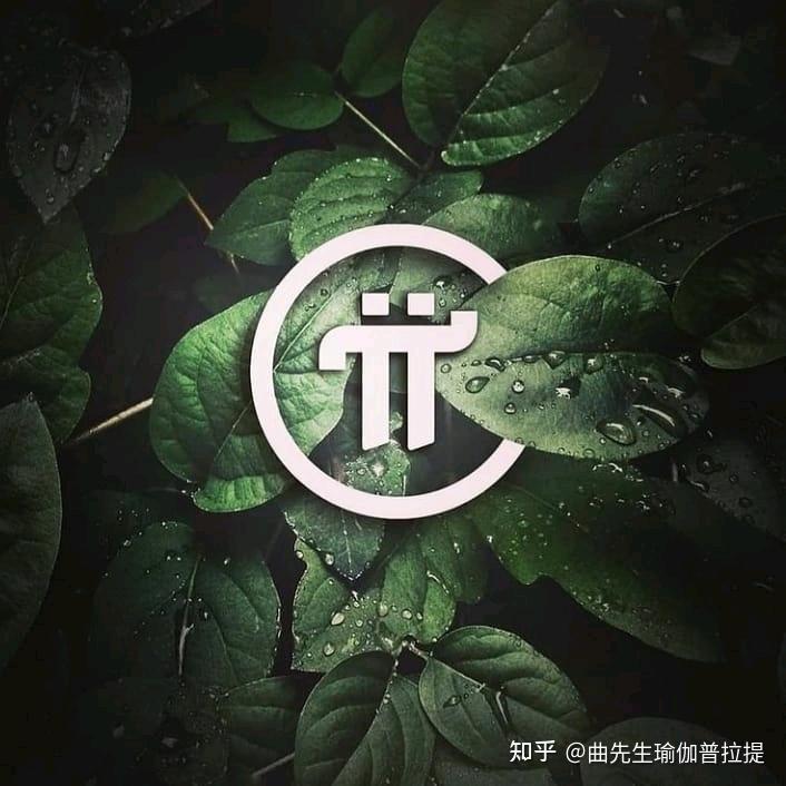 50个原因为什么我们应该相信pinetwork的未来