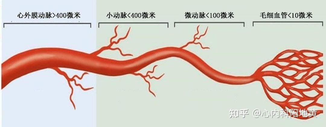 中西兼顧防治並重才能更好地呵護您心臟的健康