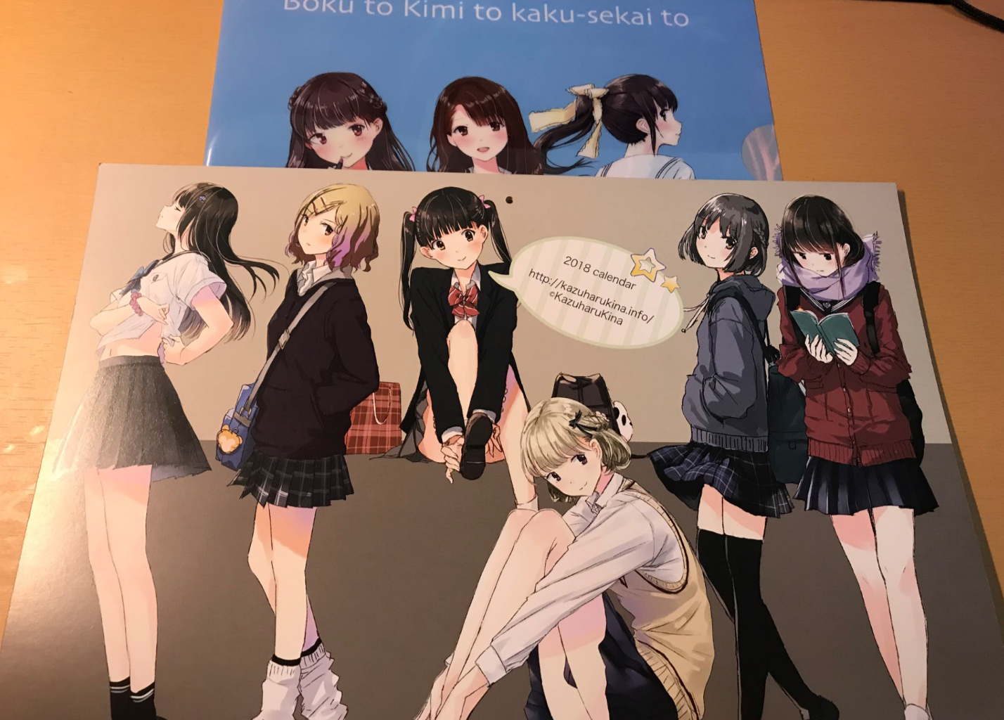 一个文件夹(其实挂历一直到2019年上半年)被同学安利的anmi的新刊