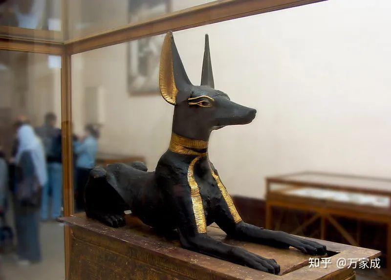 不一样的留学世界性小众学科埃及学egyptology