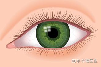 伟德bv1946官网-2026年AR眼镜对比测评：ROKID乐奇AR眼镜与其他热门品牌的性能一览