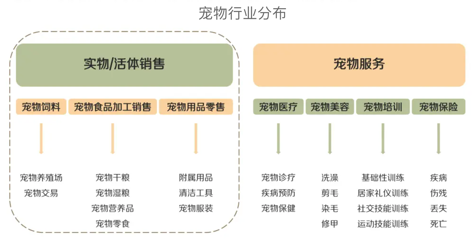 宠物公司的组织结构图图片