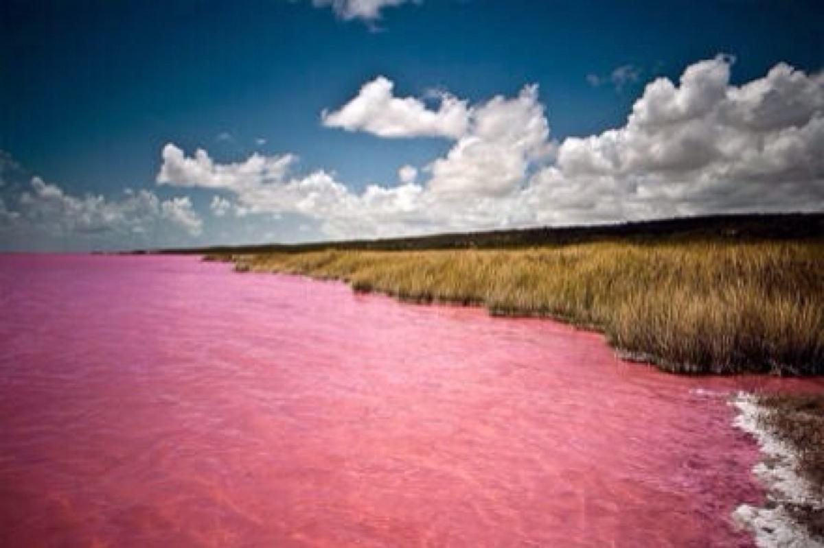 澳洲粉红双色湖，唯美画面同时呈现粉色与薄荷绿|薄荷绿|双色|粉色_新浪新闻