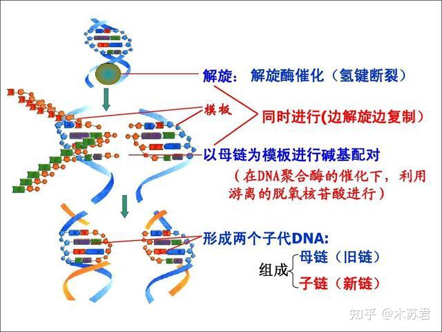 遗体火化经历900度的高温,体内的基因还存在吗?很多人不知道