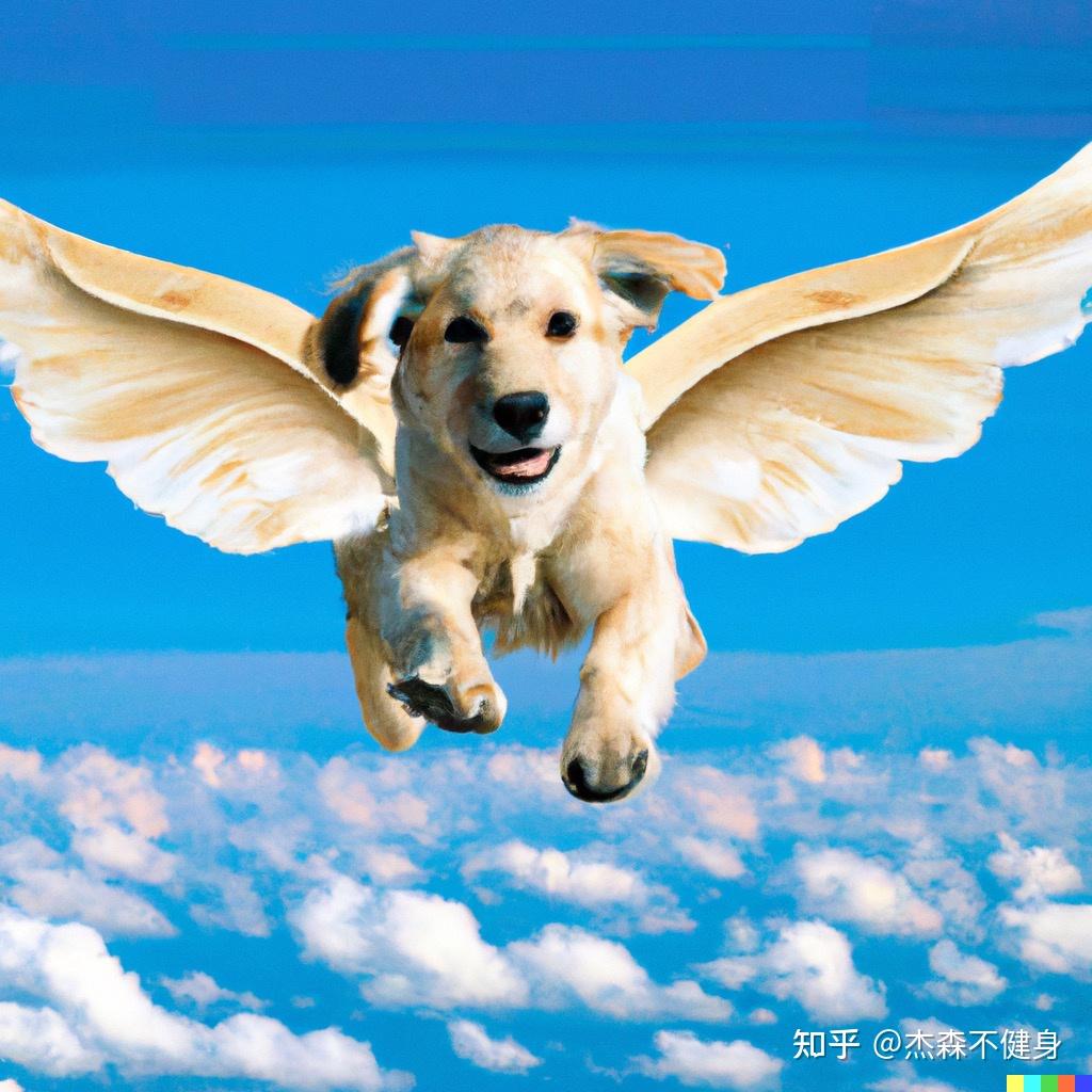你见过带着翅膀会飞的狗子吗