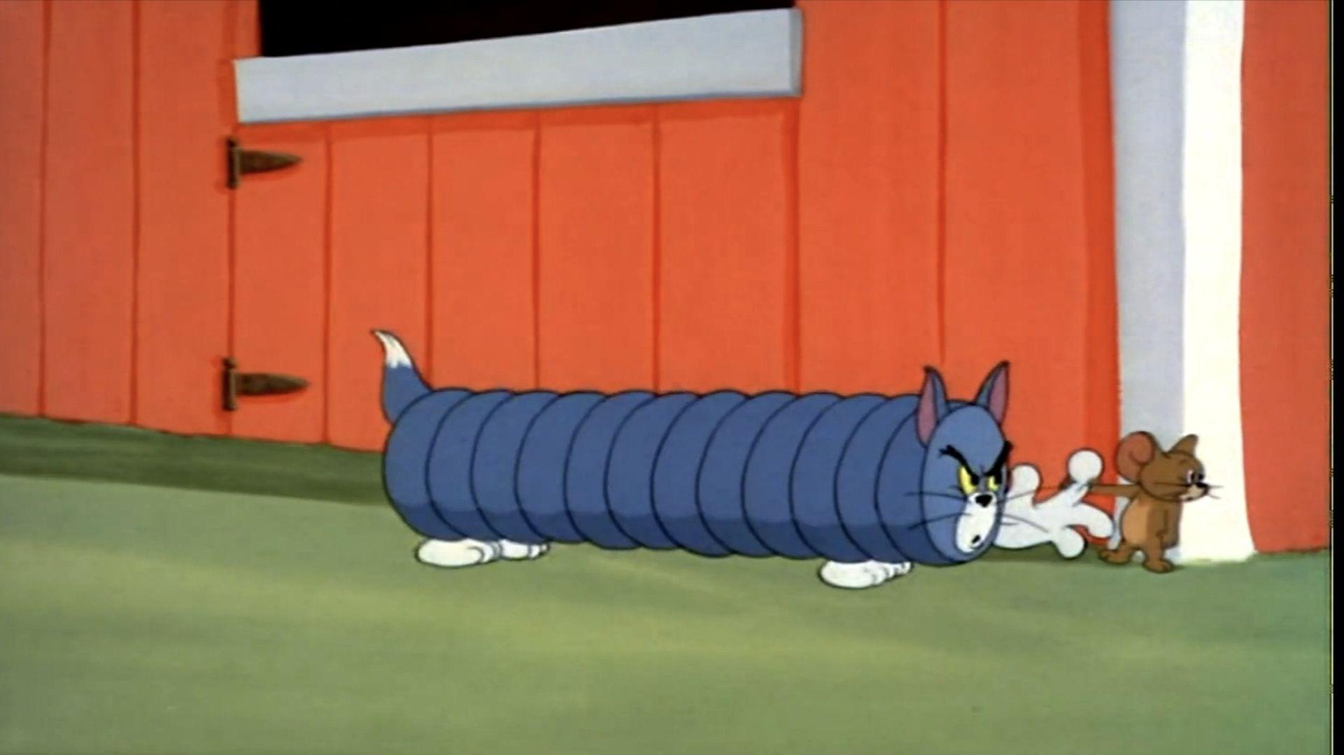 猫和老鼠-各种形状的猫和鼠 - 知乎