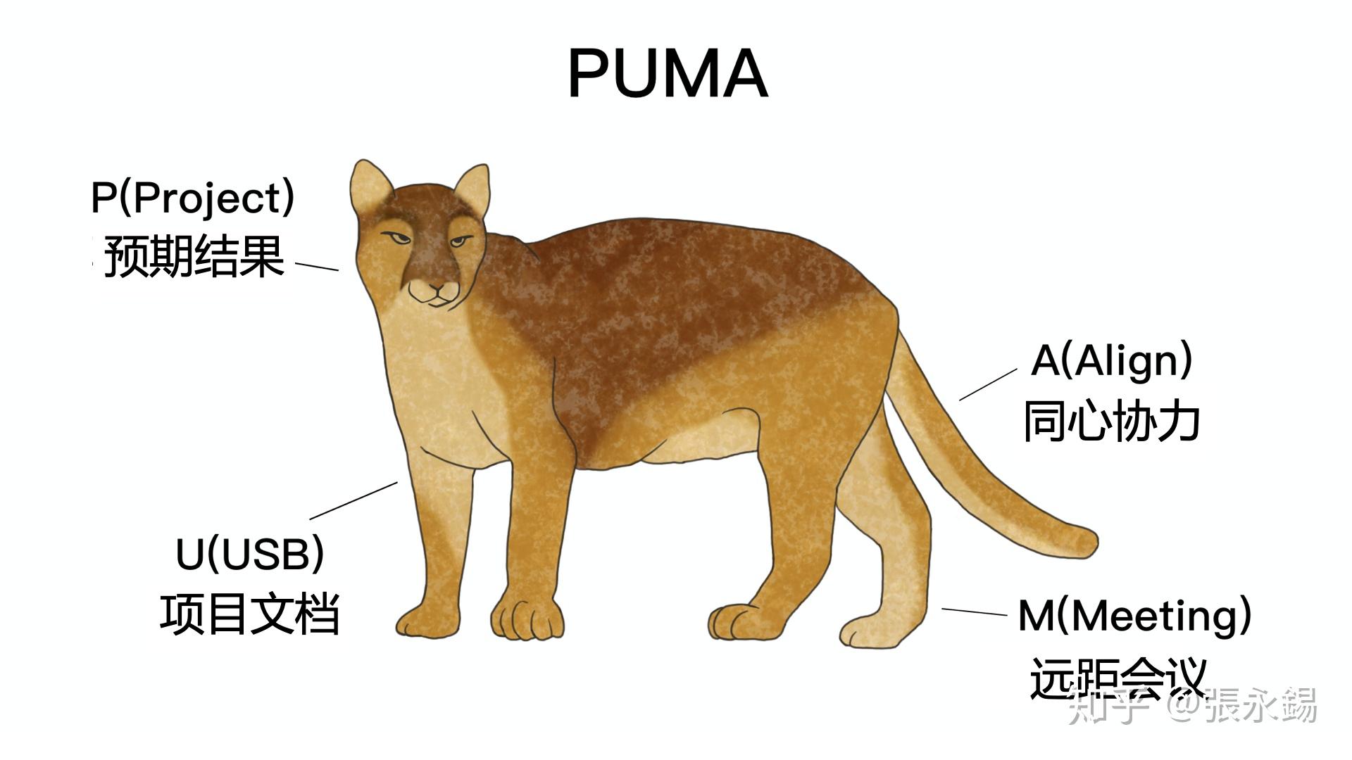 no08roamresearch提升每日生产力