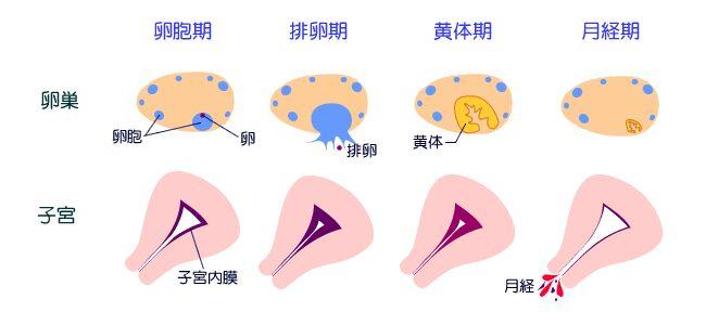 喜欢的女生来例假的时候跑800米,从此以后每次