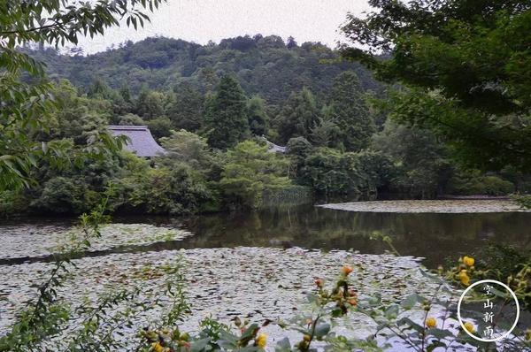 最神秘的日本枯山水 龙安寺枯山水石庭 精作网