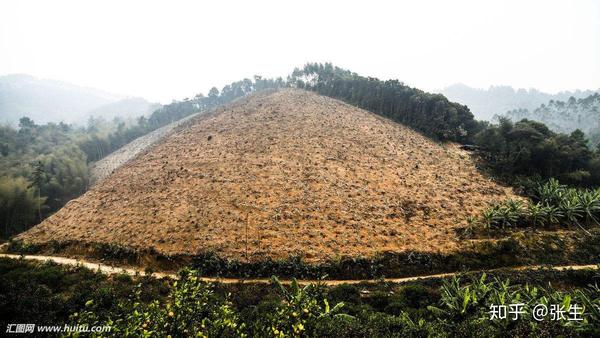 适合白手起家的创业项目3:荒山种植开发