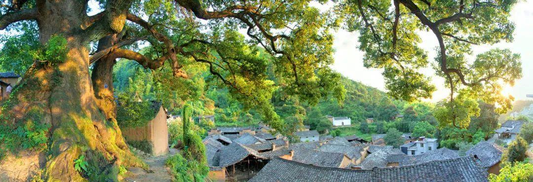 满足一切古村梦的“最后江南秘境”——松阳 - 知乎