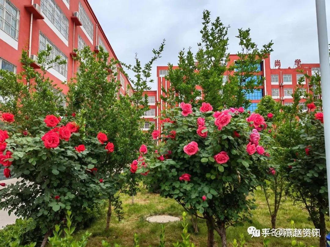 河北大名县民族学校关爱实习教师留校生活