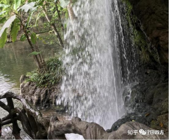 黄果树大瀑布细品-黄果树的瀑布短文答案