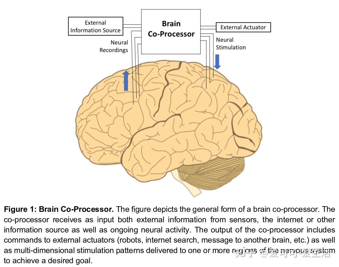 algorithms to control prosthetic devices based on brain signals