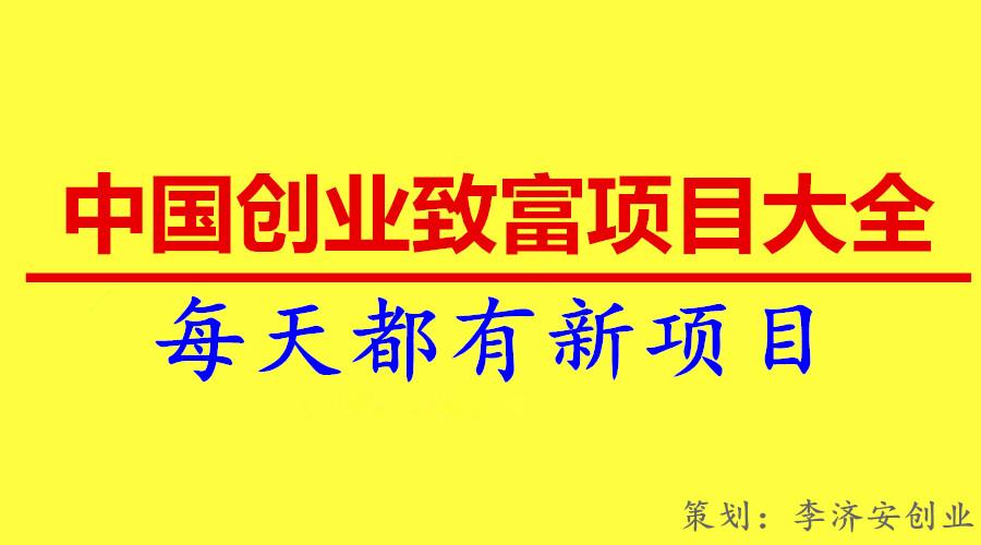 中國創業致富項目大全2017年12月專輯項目清單