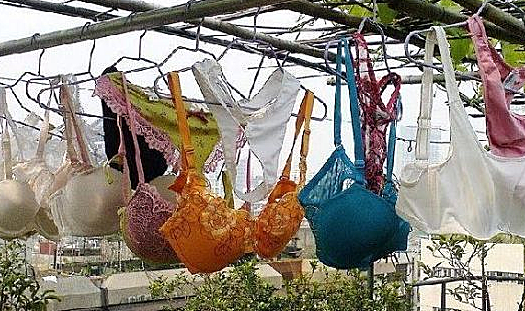 狂偷2409个胸罩男子被抓后语出惊人