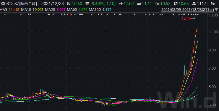 妖股陕西金叶的暴涨和大股东的杠杆