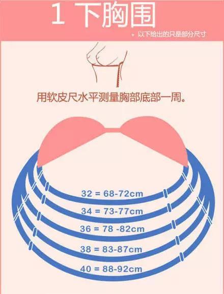 关于罩杯那点事儿 - 知乎