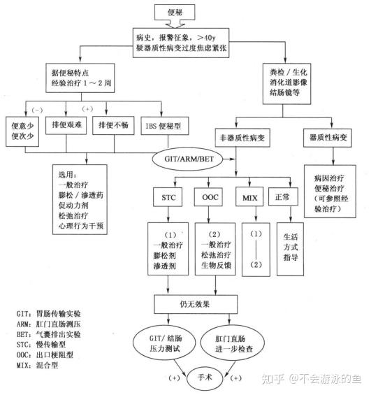 排便思维导图图片