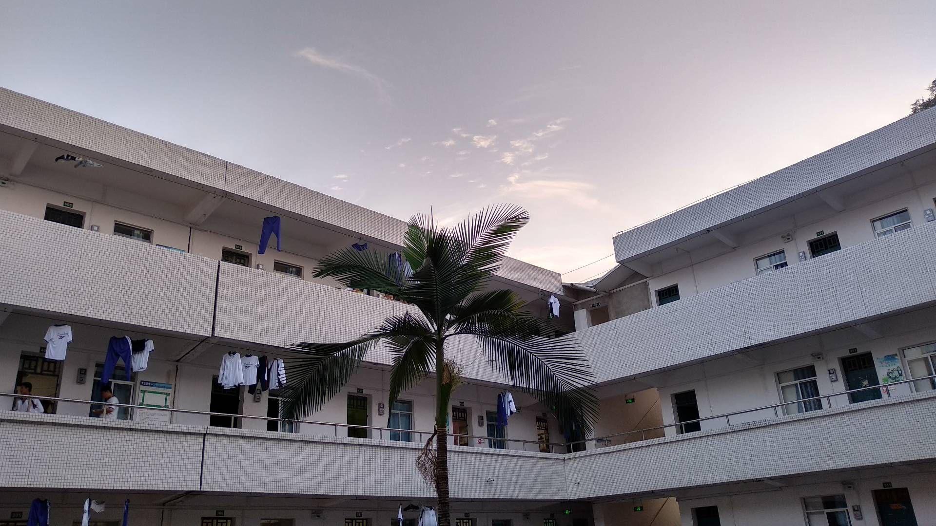 记录我的柳州市钢一中学三年生涯