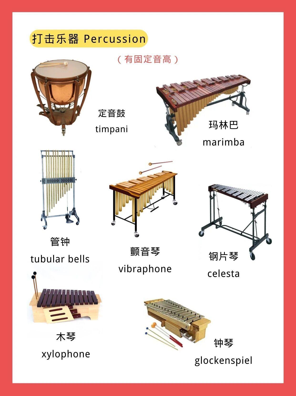 认识管弦乐器的中文和英文名称，全网最全，赶紧收藏起来吧～ - 知乎