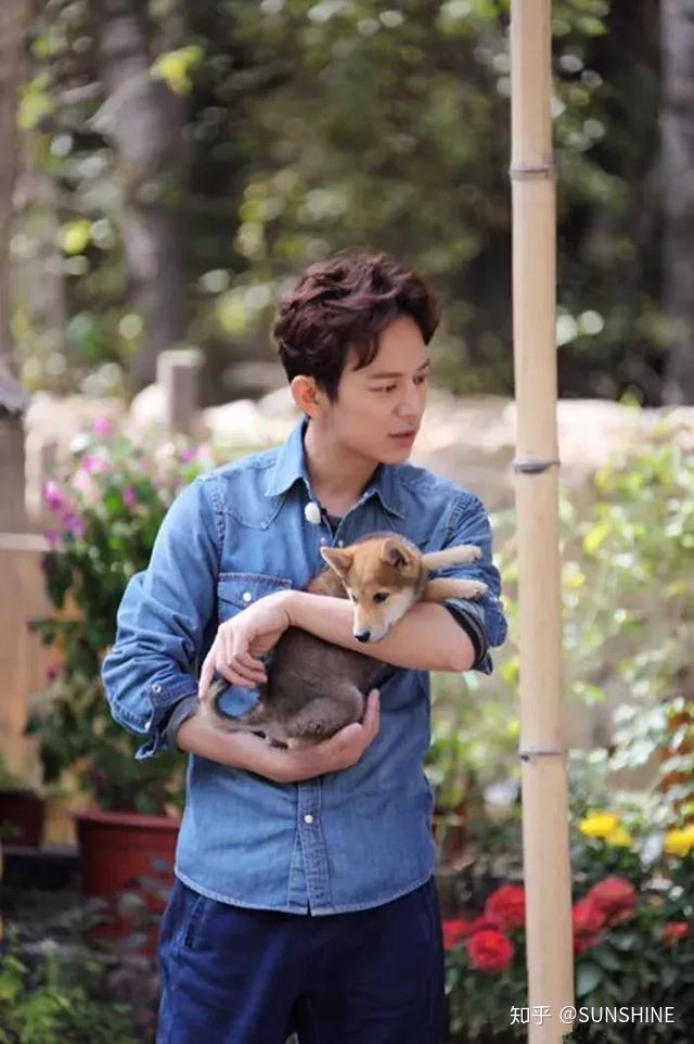 向往的生活之网红小h篇