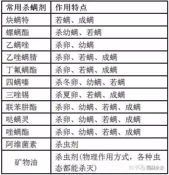 此外,中华草蛉,食螨瓢虫也是红蜘蛛的天敌.02. 合