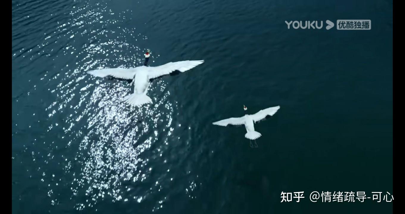 如何感受鹤唳华亭这部剧