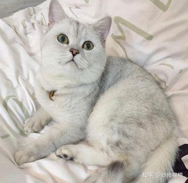 看的鸡儿梆硬表情包