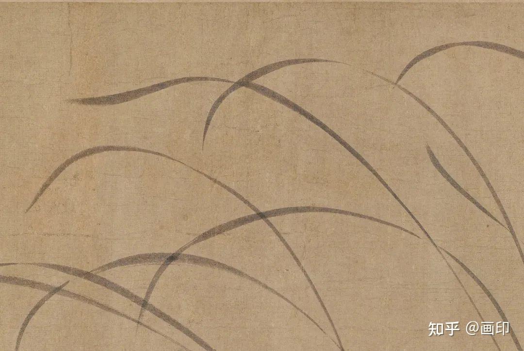 宋· 赵孟坚《墨兰图》 - 知乎