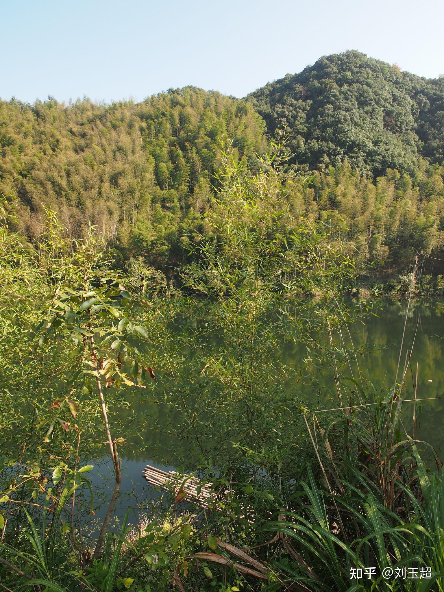 皖南川藏线之行(附:储家滩风景)