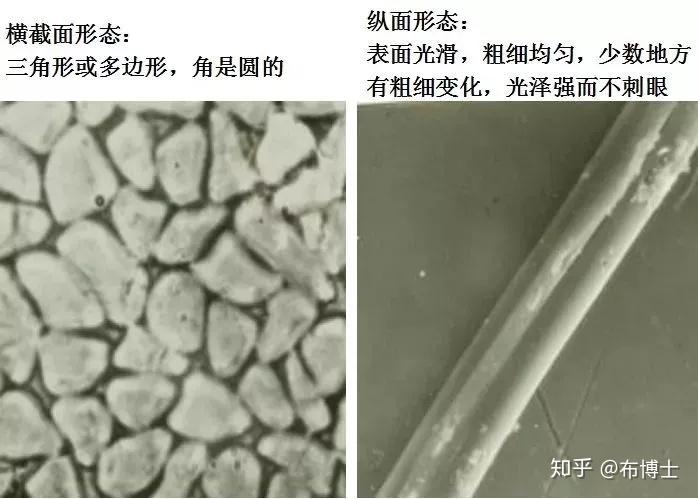 常见纺织纤维的形态分享 - 知乎