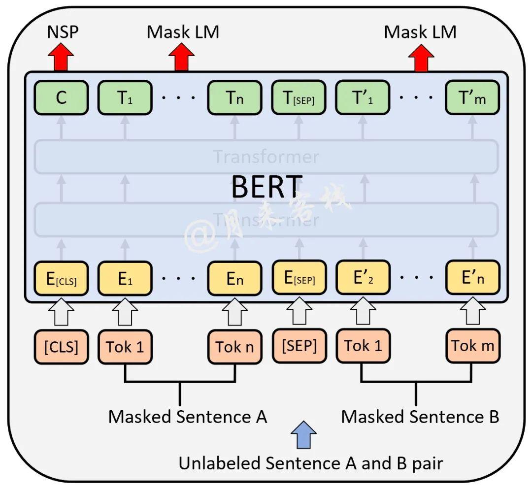 BERT原理与NSP和MLM - 知乎