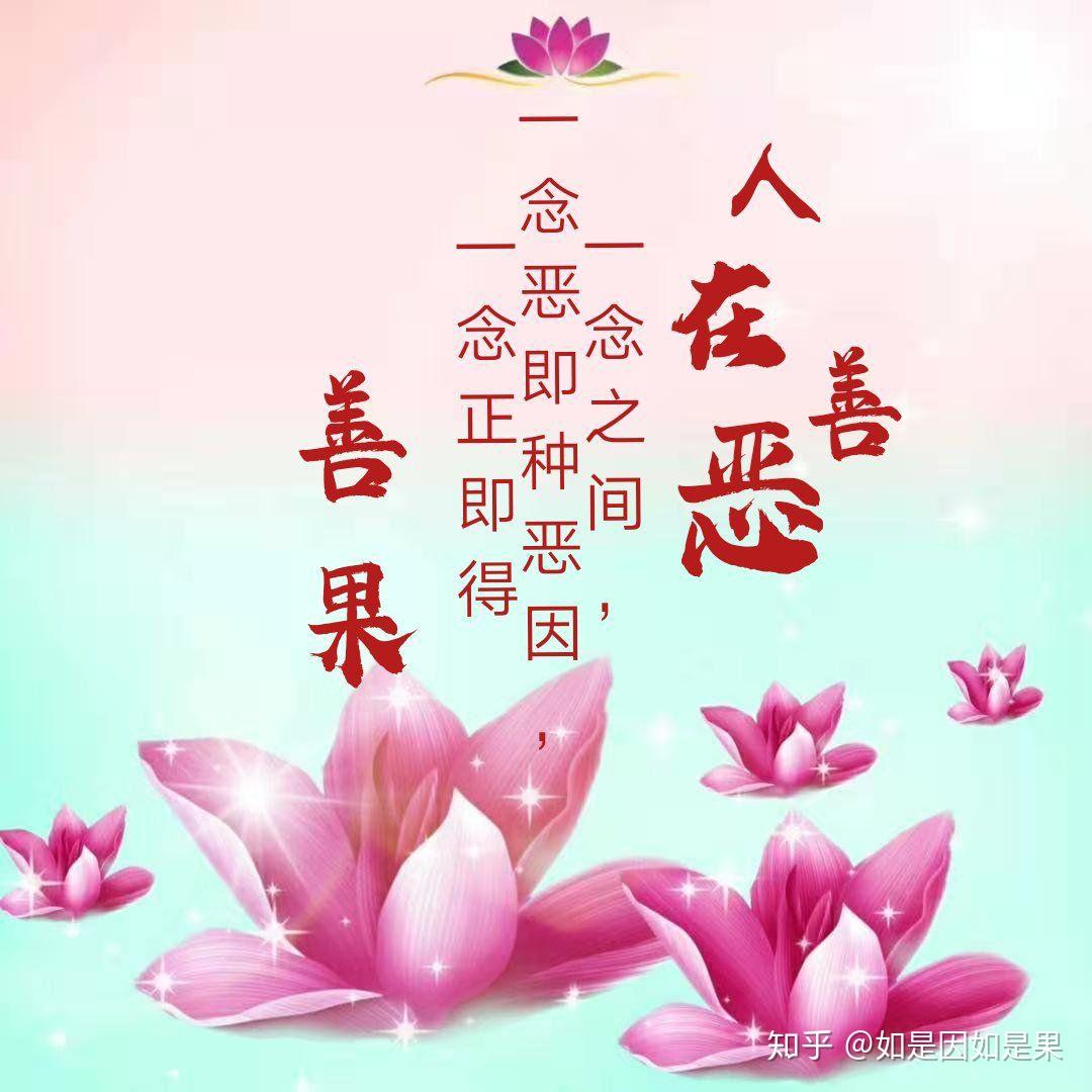 《 佛言佛语 》 - 知乎