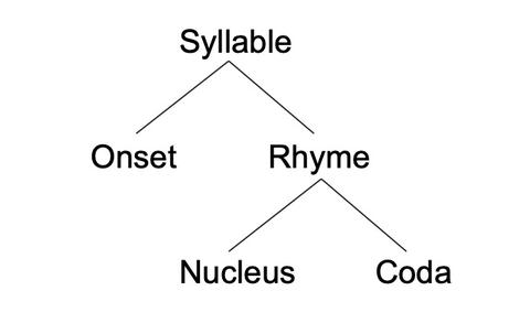 你好,这个问题涉及到的语言学知识有phoneme(音素)音节(syllable) 接