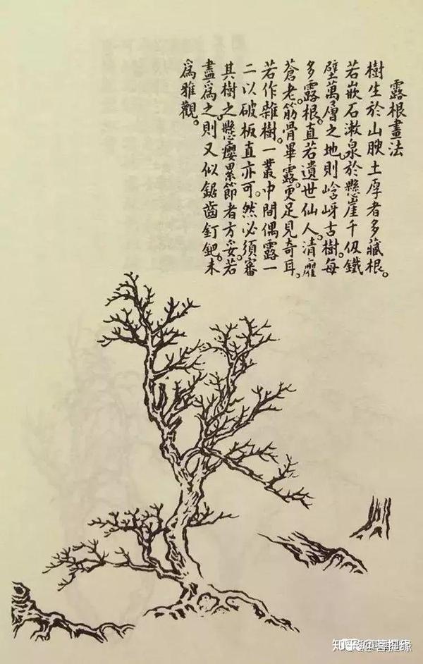 《芥子园画谱》——奠基现代盆景的"中国风" - 知乎