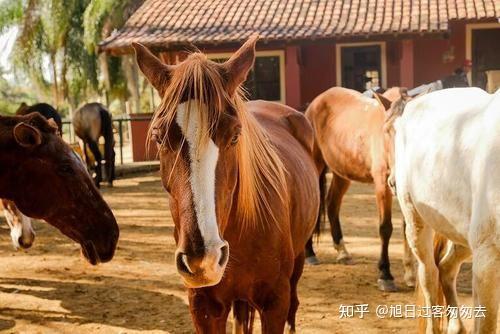 这一方面反映出立法的不完善