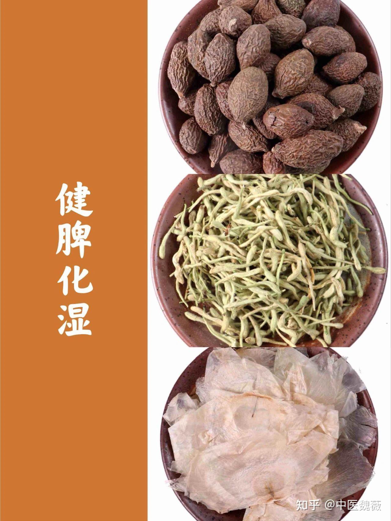 百病生于痰,治百病先除痰湿 - 知乎
