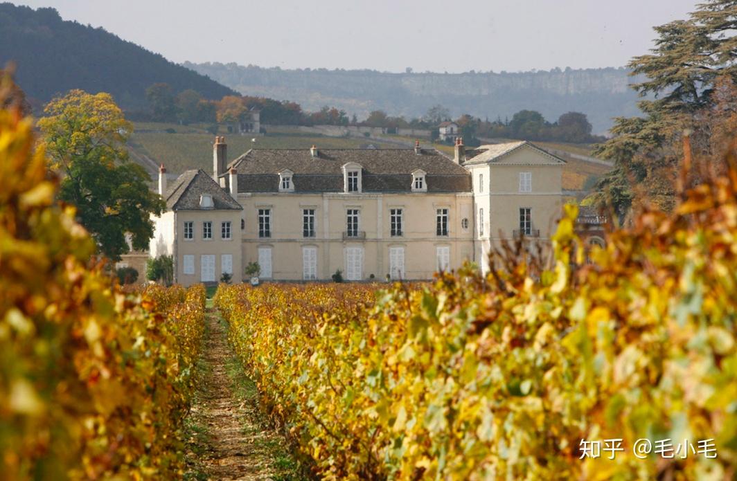 关于法国葡萄酒之都勃艮第博纳这些你都知道么