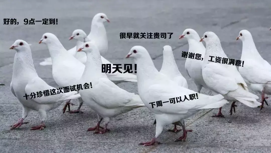 用这些理由放鸽子的求职者,是把hr当傻子吗! - 知乎