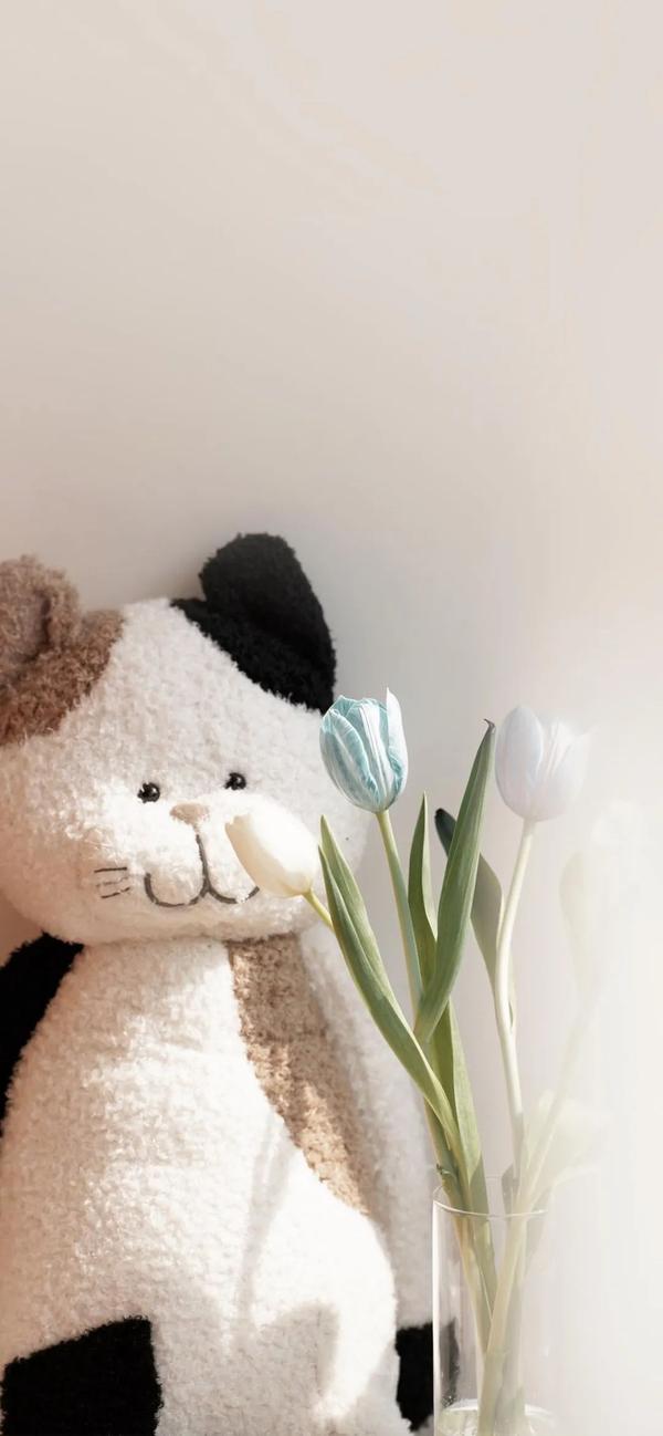 来一组高清无水印的ins风格壁纸 - 知乎