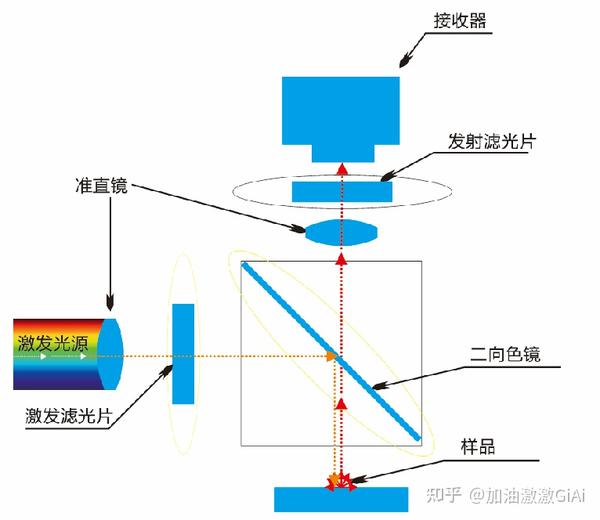 荧光显微镜滤光片怎么选择 - 知乎
