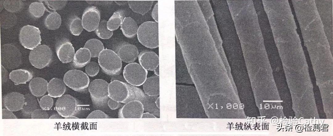 干货分享各种动物毛发纤维大全