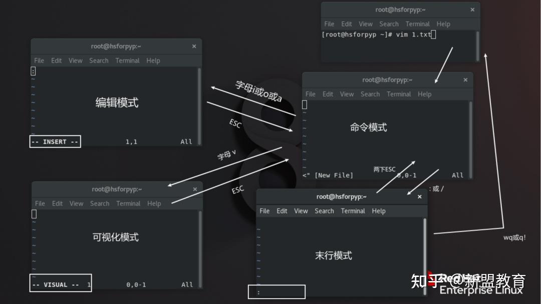 【运维知识点】Linux Vim编辑器的基本使用 - 知乎