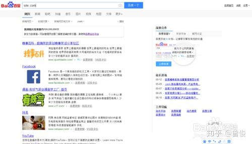 高级搜索的技巧插图30 高级搜索的技巧插图30