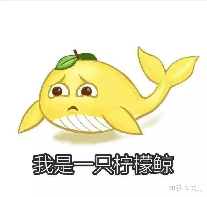v2-f24078b30110dde04f3c9f18d3d5c0cb_r.jpg