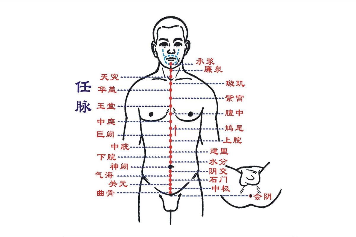 [足太阳膀胱经]-人卫中医助手-中国临床决策辅助系统-人卫智数-人民卫生出版社